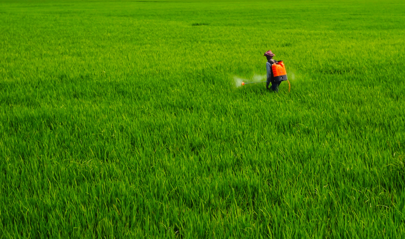 Pesticide Training Certification
